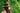 Country Hats