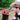 Traditional Feather Hat Mounts
