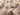 French Partridge Feathers