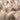 French Partridge Feathers