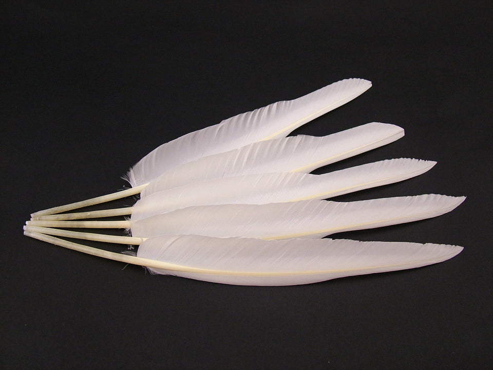 Feathers – The Feather Factory