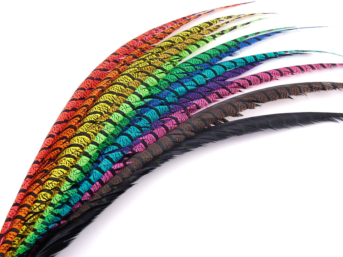 Feathers – The Feather Factory