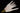 Goose Quill Pens