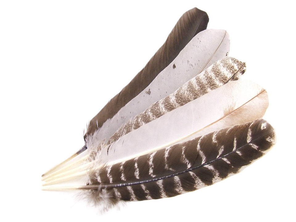 Feathers – The Feather Factory