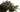 Bronze Black Schlappen Feathers (20g Pack)