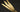 Golden Duck Quill (pack of 3)