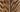 Golden Pheasant Side Tail Feathers (packs of 10)