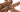 Pheasant Churchwindow Feather Fringe