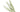Special Offer Goose Pointers (Pack of 10)