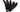 Special Offer Extra Long Turkey Quills (Pack of 5)