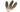 Special Offer Peacock Wing Feather Pen (pack of 3)