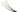 Stripped Turkey Quills (Pack of 3)