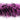 Deluxe Black and Shocking Pink
