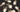 Champagne Biot Hat Mount