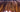 Special Offer Furnace Hackle Feather Fringe (1m)
