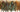 Special Offer Schlappen Feather Fringes (0.5m)