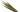 Special Offer Lime Green Lady Amherst Sides (Pack of 5)