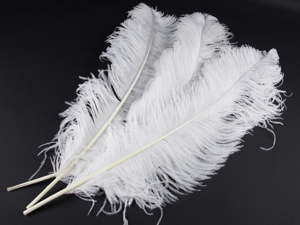 Special Offer Long White Ostrich Feathers packs of 3