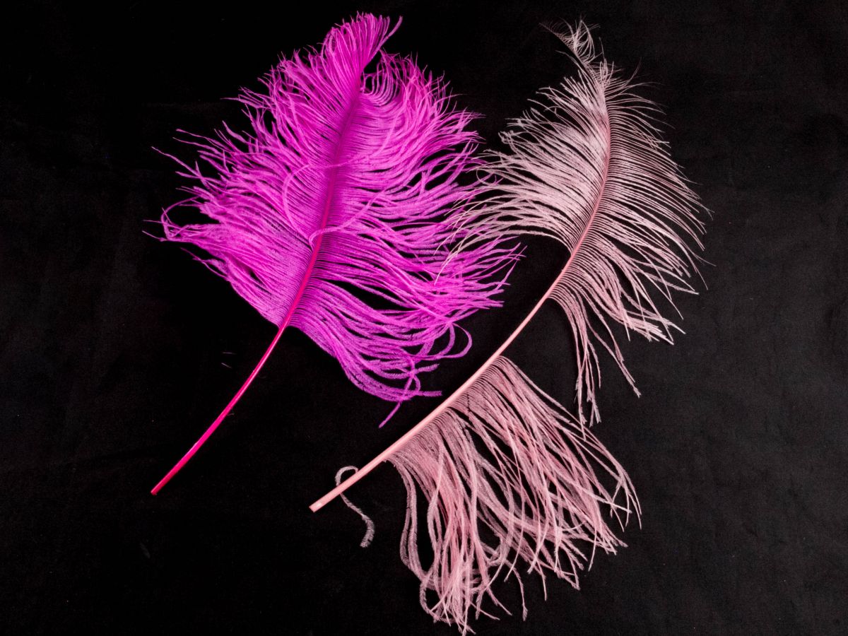 Purple ostrich feathers clearance for sale