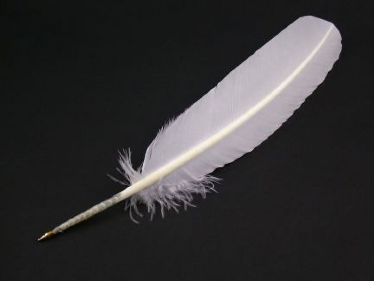 Feather Ballpoint Pen - Turkey Feather Black