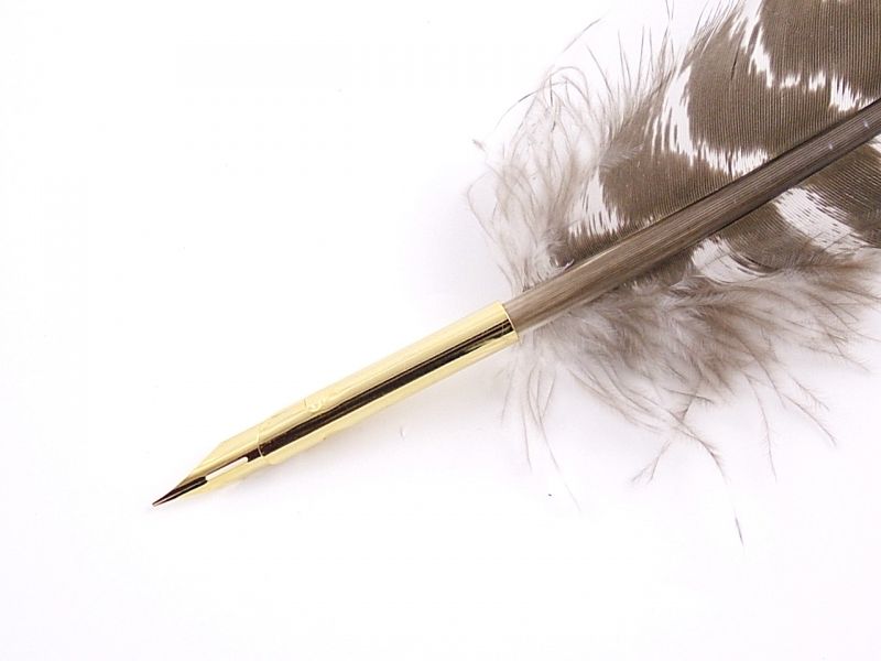 Feather Pens Natural Bronze Turkey Feather Nib