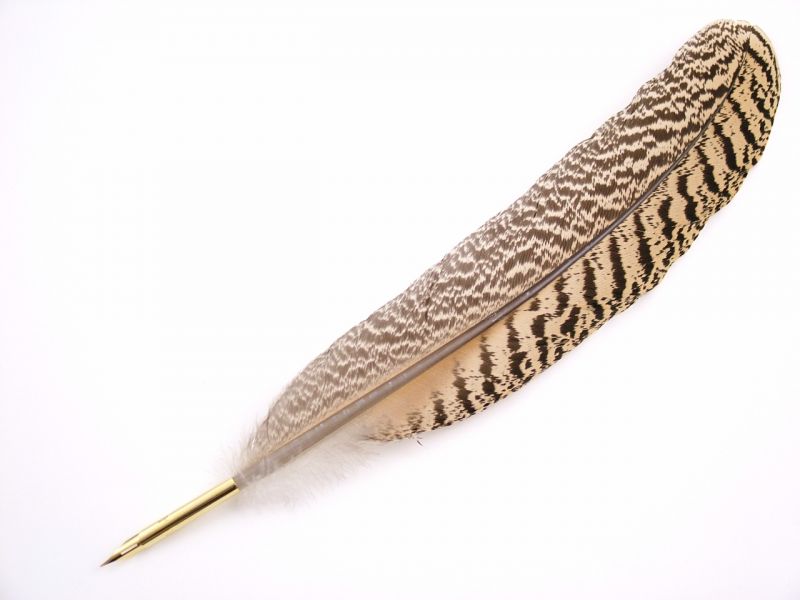 Feather Pens | Luxury Peacock Feather Nib