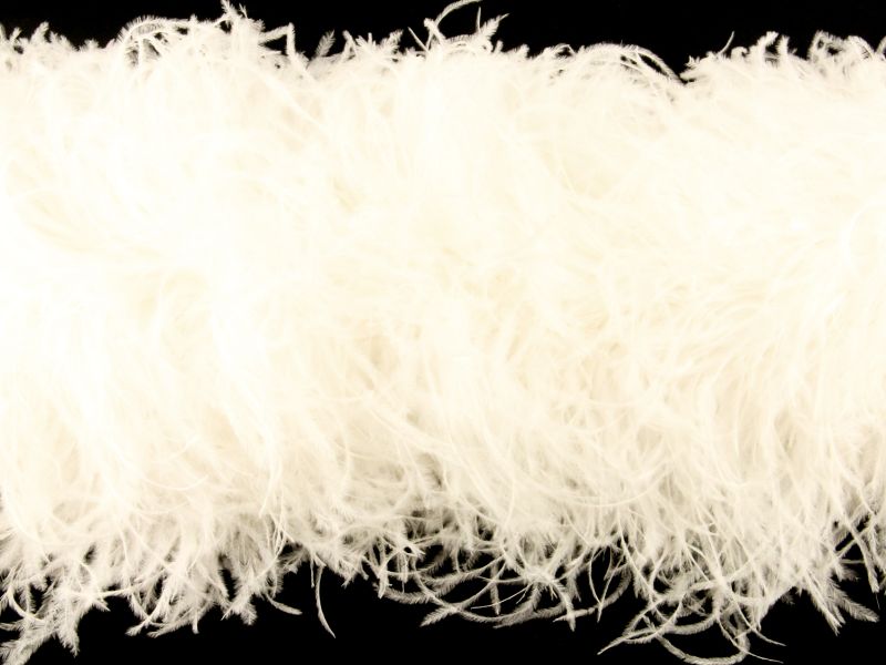 Deluxe 20 Ply Ostrich Feather Boa Hire 1