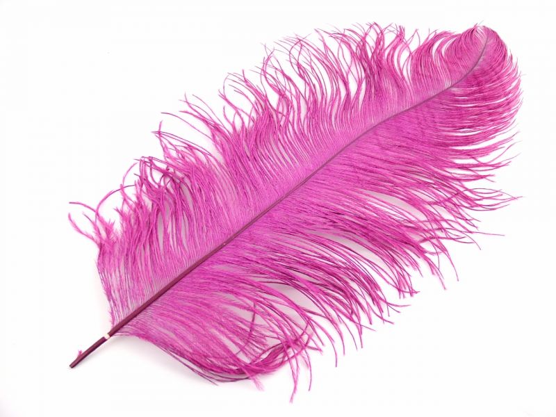 Ostrich Feathers - Short Ostrich Premium Wing Feathers For Table ...