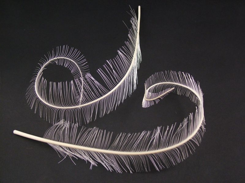 Special Offer Burnt Ostrich Feather Curl 3