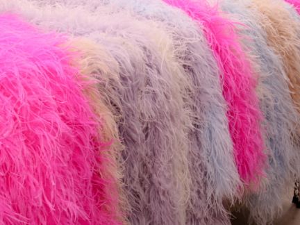 Fashion Deluxe 10 Ply Ostrich Feather Boa Hire
